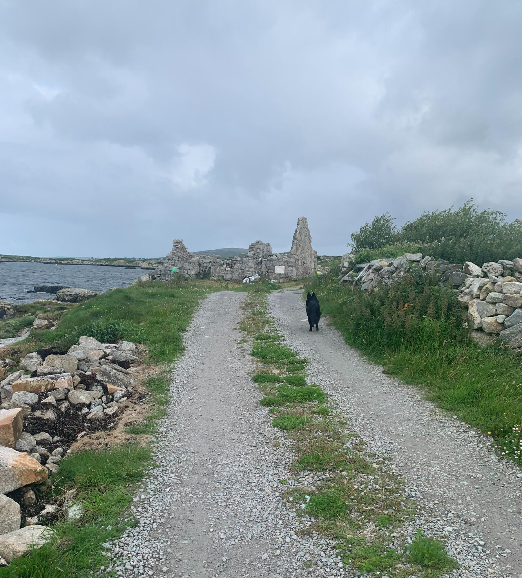 #Montreal #Canada #Irish #irishlanguage #irishcourses #Irishclasses